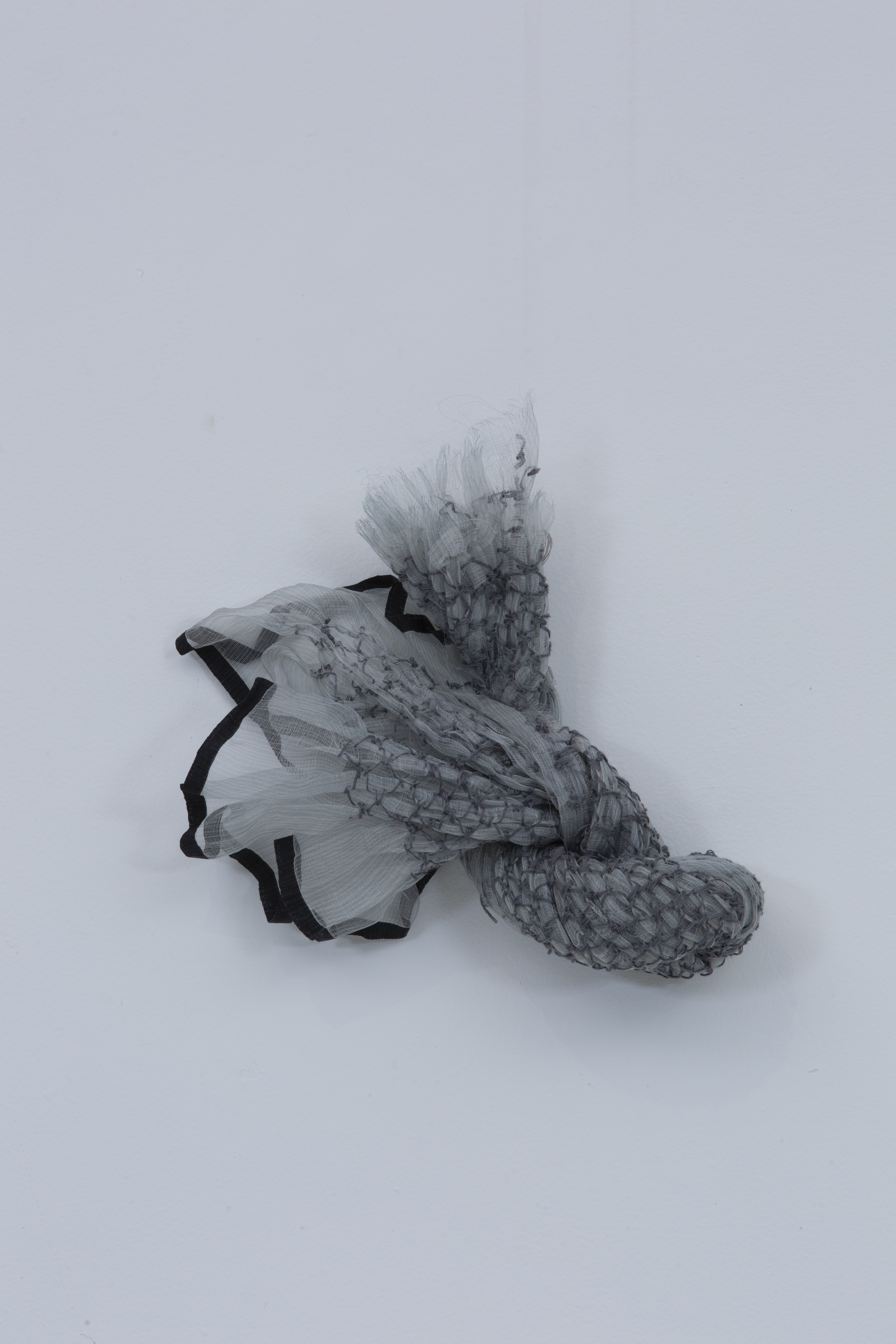 Shapes of the amorphous 4 of 8